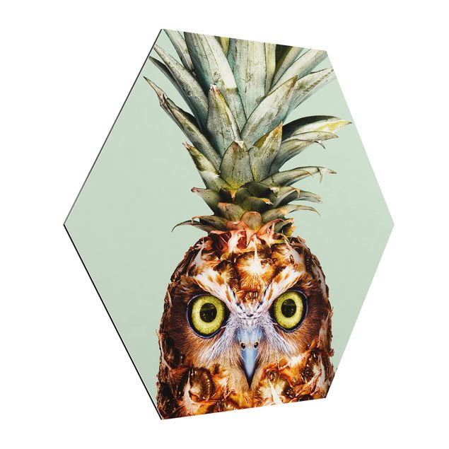 Hexagons Aluminium Dibond schilderijen Pineapple With Owl