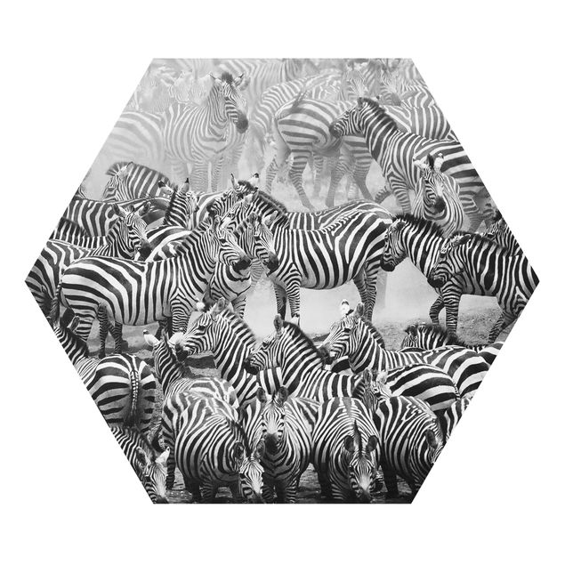 Hexagons Forex schilderijen Zebra herd II