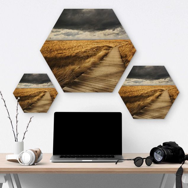 Hexagons houten schilderijen Path Between Dunes