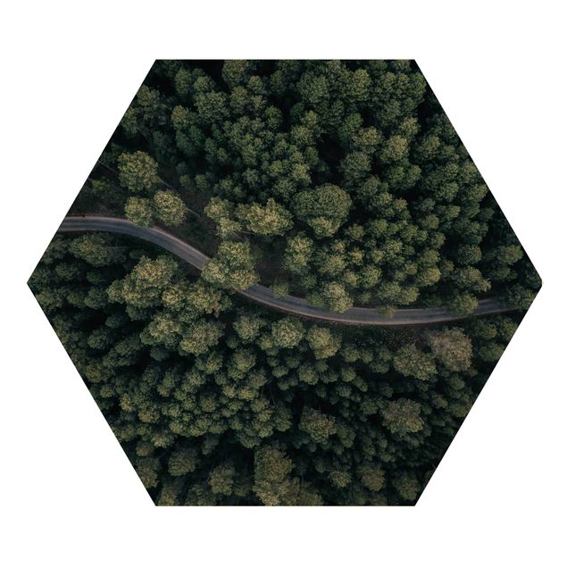 Hexagons houten schilderijen Aerial View - Forest Road From The Top