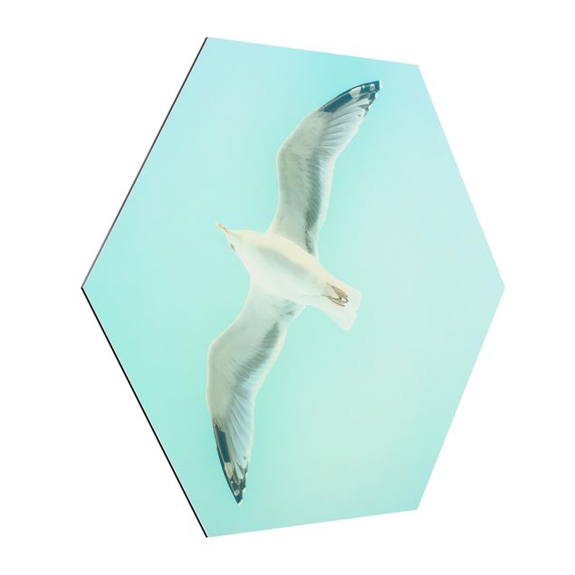 Hexagons Aluminium Dibond schilderijen Blue Sky With Seagull