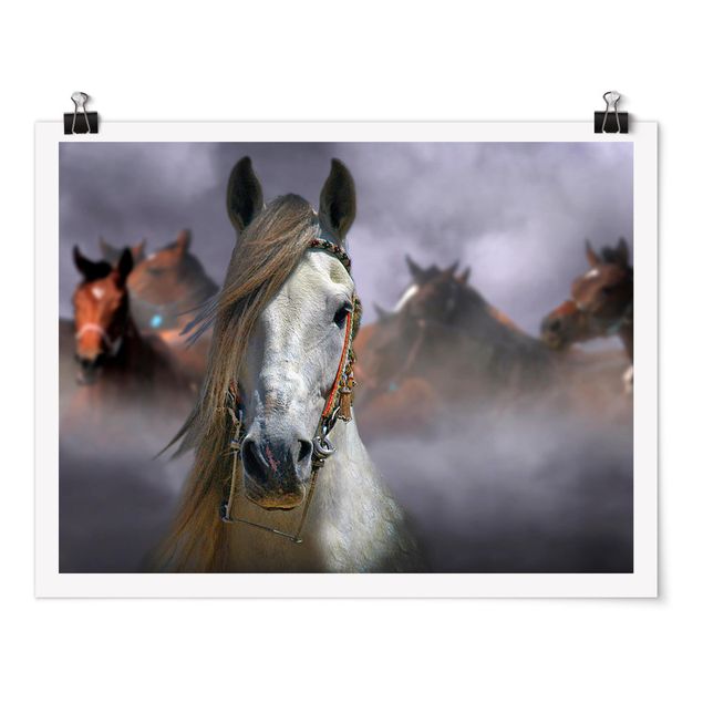 Posters Horses in the Dust