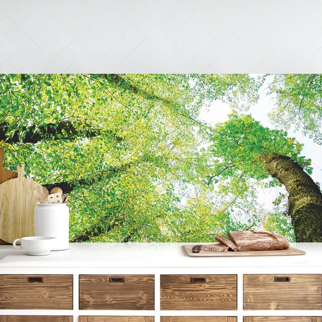 Achterwand voor keuken landschap Trees Of Life