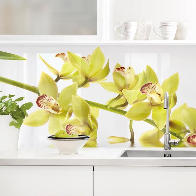 Achterwand voor keuken bloemen Elegant Orchid Waters