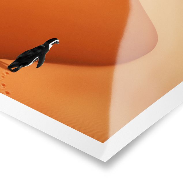 Posters Desert With Penguin
