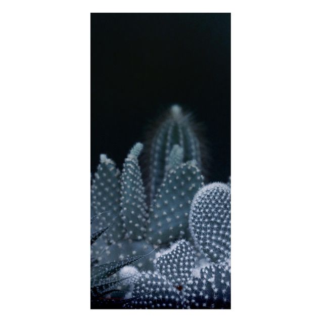 Magneetborden Familiy Of Cacti At Night