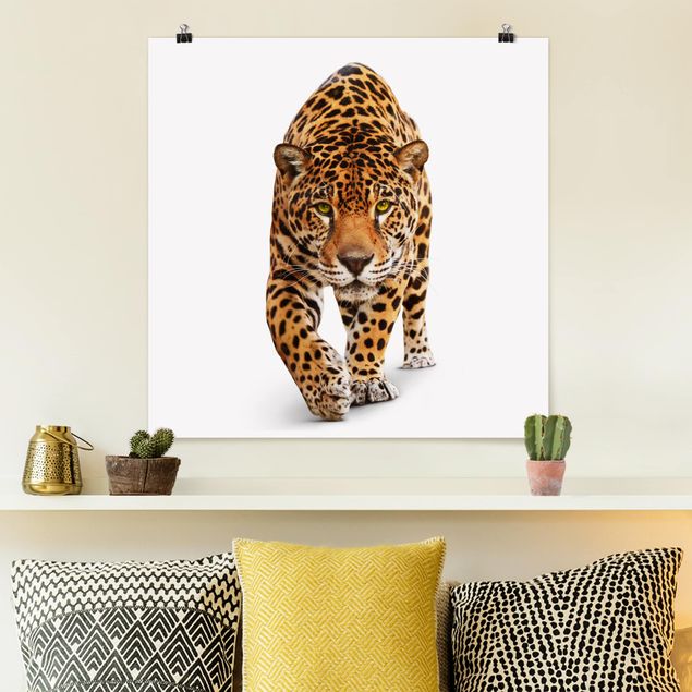 Posters Creeping Jaguar