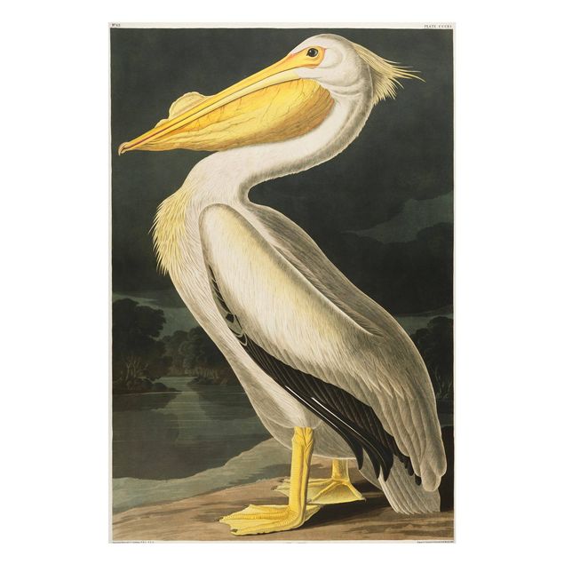 Magneetborden Vintage Board White Pelican