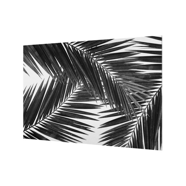 Spatscherm keuken View Over Palm Leaves Black And White
