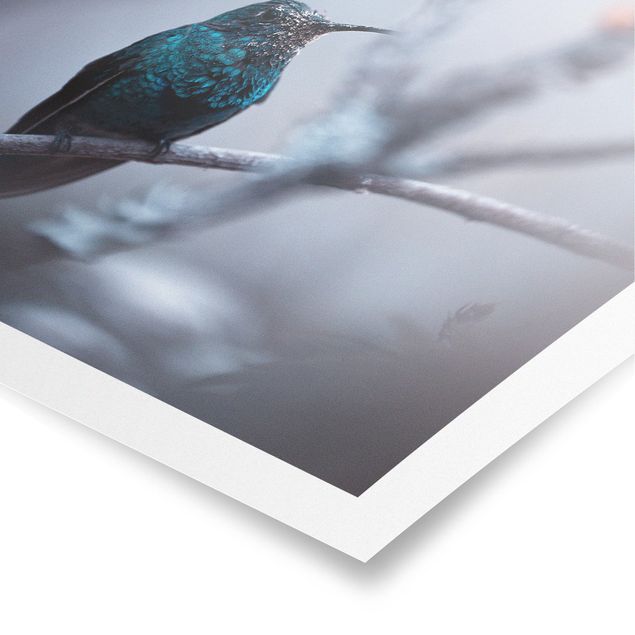 Posters Hummingbird In Winter