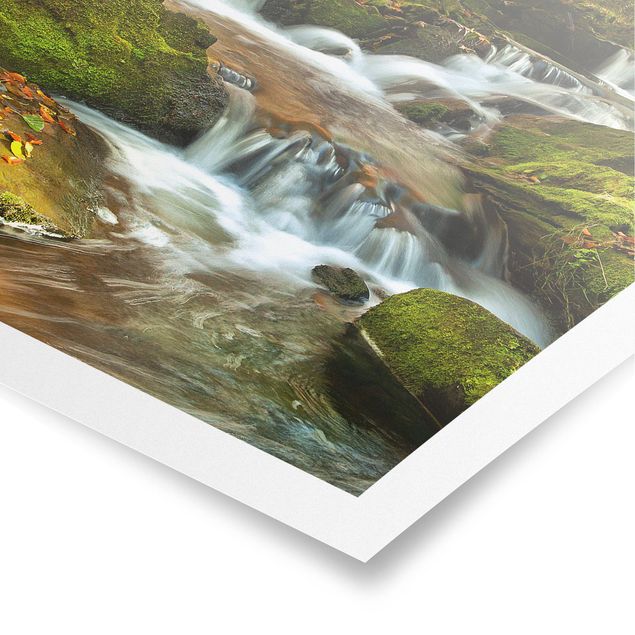 Posters Waterfall Autumnal Forest