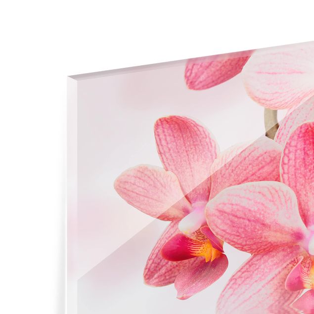 Spatscherm keuken Pink Orchids On Water