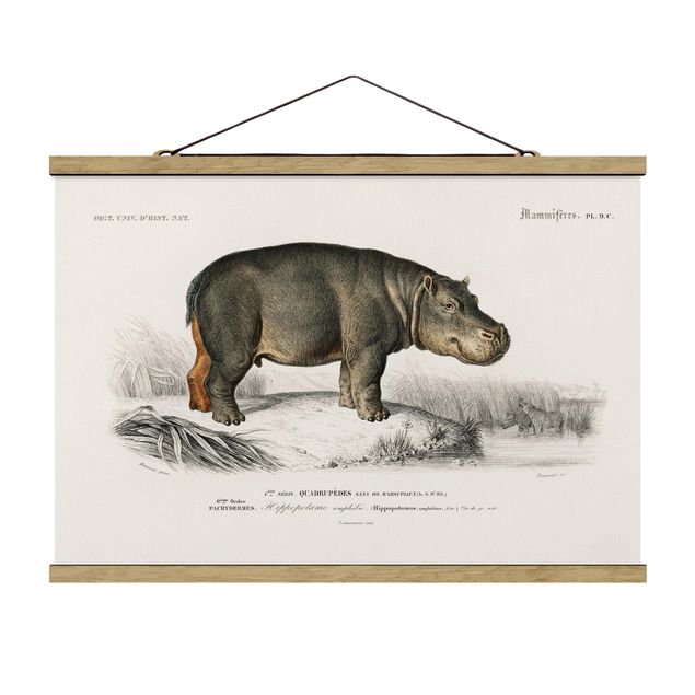 Stoffen schilderij met posterlijst Vintage Board Hippo