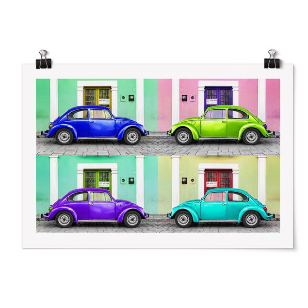 Posters Coloured Beetles