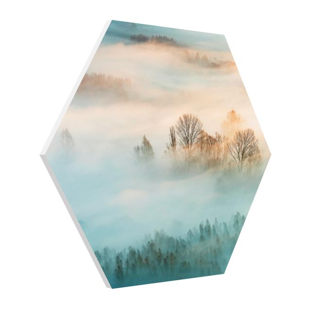Hexagons Forex schilderijen Fog At Sunrise