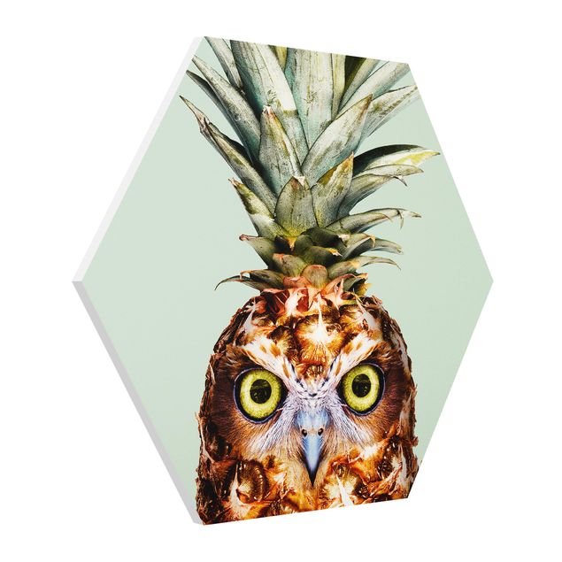 Hexagons Forex schilderijen Pineapple With Owl