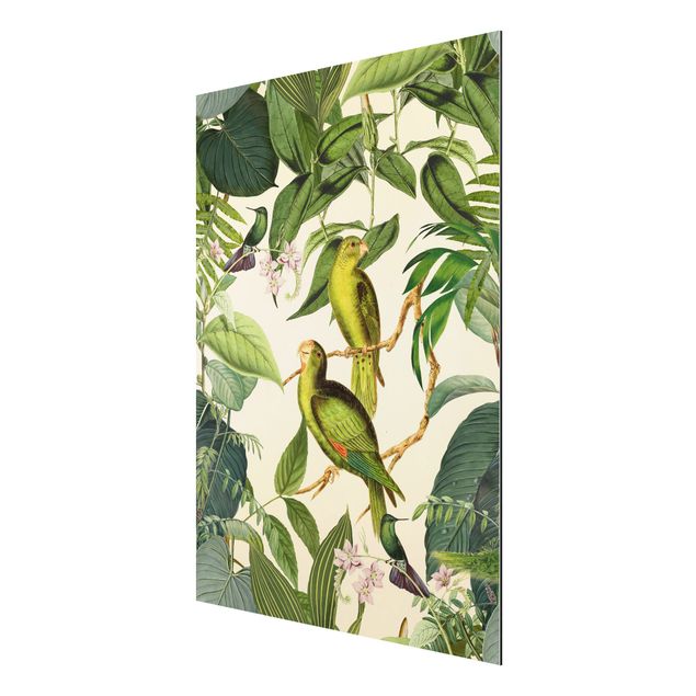 Aluminium Dibond schilderijen Vintage Collage - Parrots In The Jungle