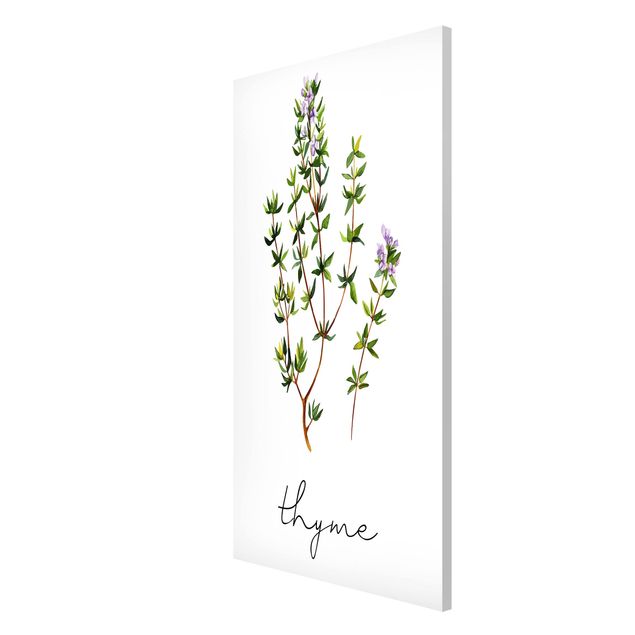 Magneetborden Herbs Illustration Thyme