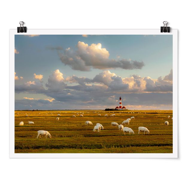 Posters North Sea Lighthouse With Flock Of Sheep