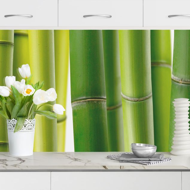 Achterwand voor keuken landschap Bamboo Plants II