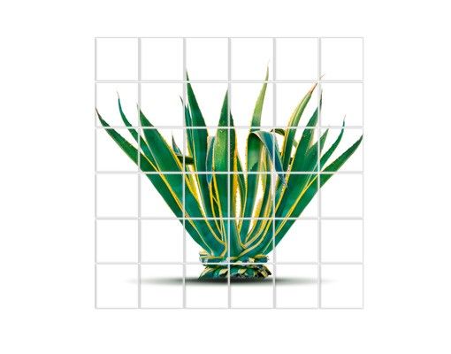 Tegelstickers Agave