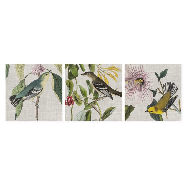 Canvas schilderijen - 3-delig Birds On Linen Set I