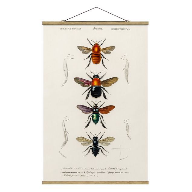 Stoffen schilderij met posterlijst Vintage Board Insects