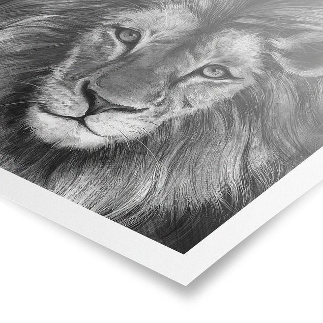 Posters Illustration Lion Monochrome Painting
