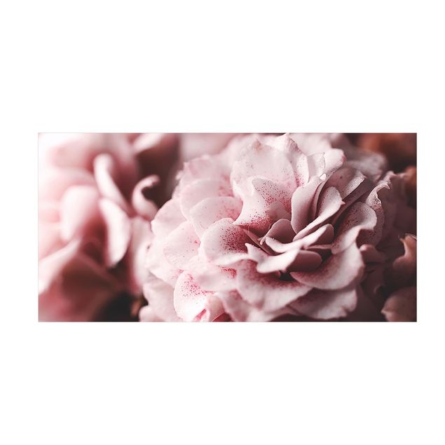 Vloerkleed natuur Shabby Light Pink Rose Pastel