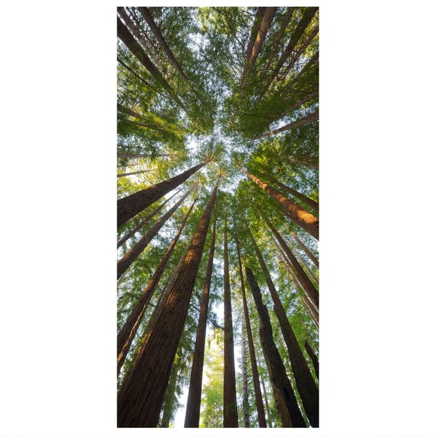 Ruimteverdeler Sequoia Tree Tops