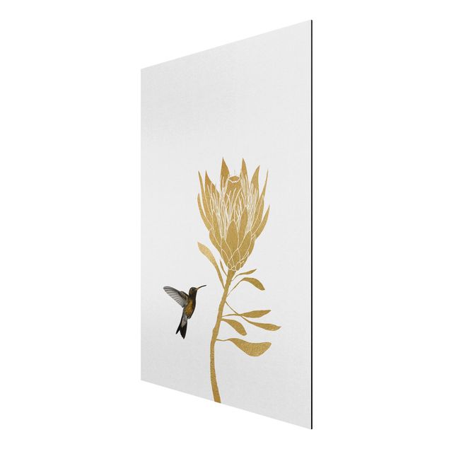 Aluminium Dibond schilderijen Hummingbird And Tropical Golden Blossom