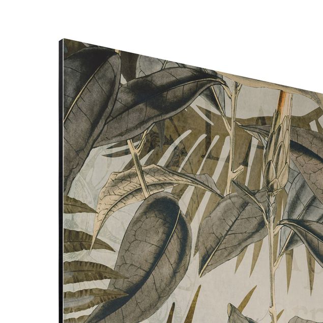 Aluminium Dibond schilderijen Vintage Collage - Toucan In The Jungle