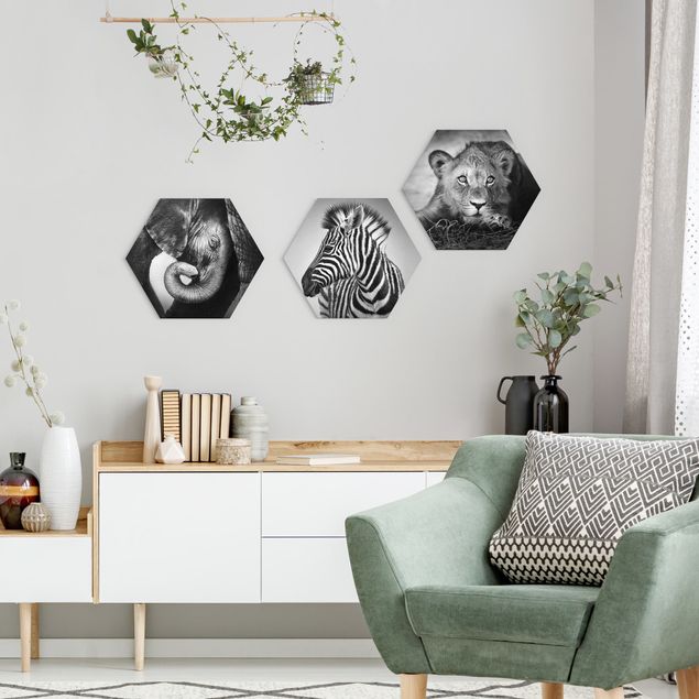 Hexagons Forex schilderijen - 3-delig Baby Animals