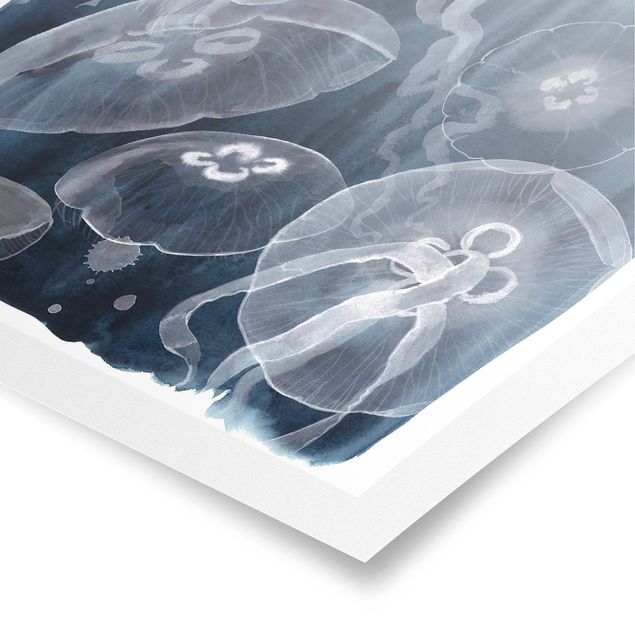 Posters Moon Jellyfish I