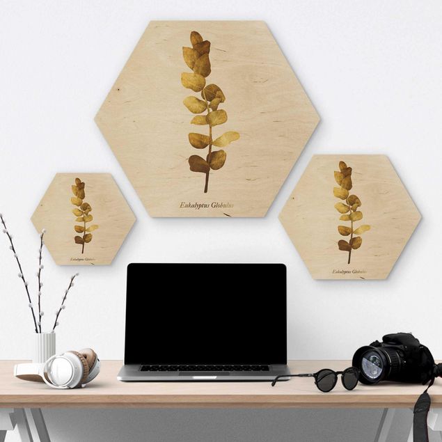 Hexagons houten schilderijen Gold - Eucalyptus