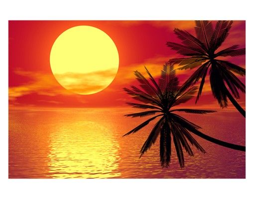 Raamfolie Caribbean sunset
