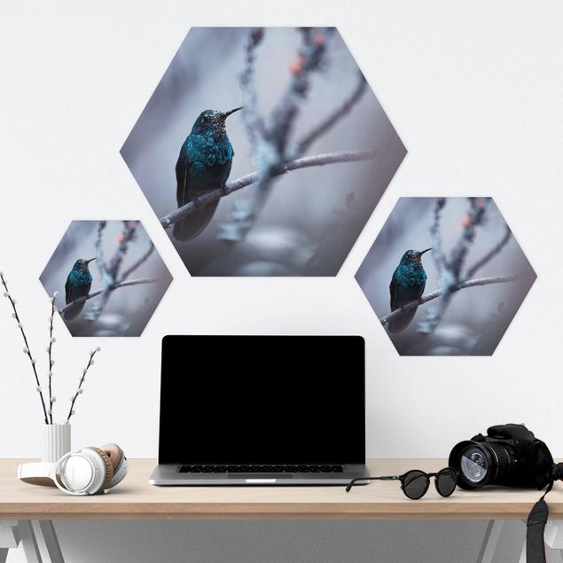 Hexagons Forex schilderijen Hummingbird In Winter