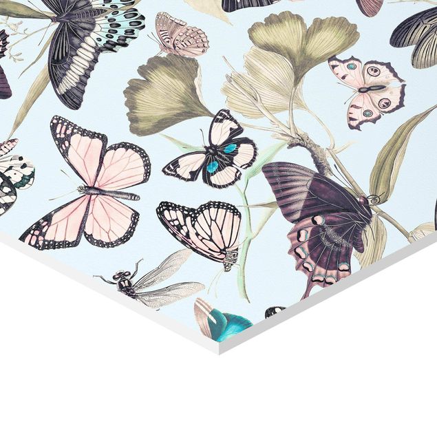 Hexagons Forex schilderijen Vintage Collage - Butterflies And Dragonflies