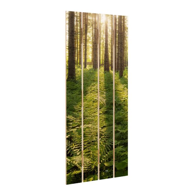 Houten schilderijen op plank Sun Rays In Green Forest