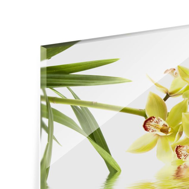 Spatscherm keuken Elegant Orchid Waters