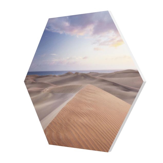 Hexagons Forex schilderijen View Of Dunes