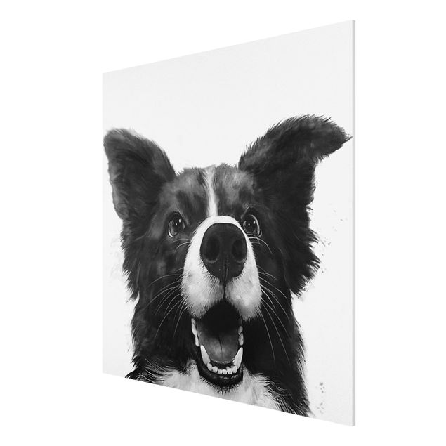 Forex schilderijen Illustration Dog Border Collie Black And White Painting