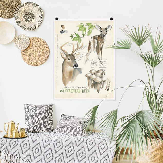 Posters Wilderness Journal - Deer