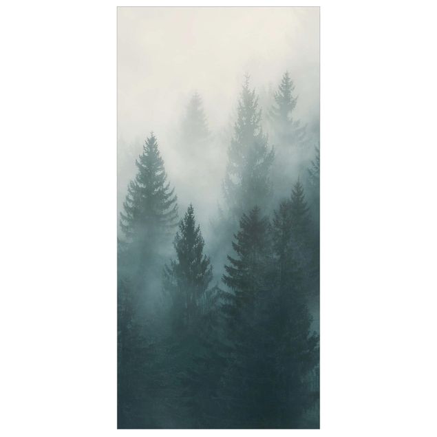 Ruimteverdeler Coniferous Forest In Fog