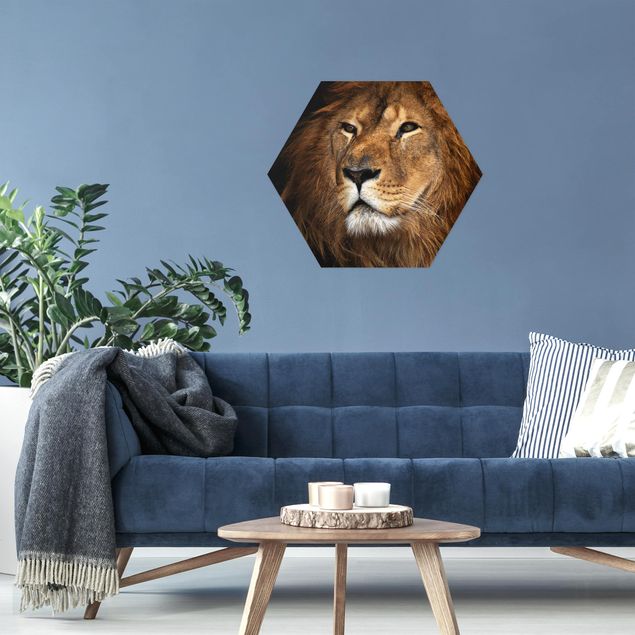 Hexagons Aluminium Dibond schilderijen Lion's Gaze