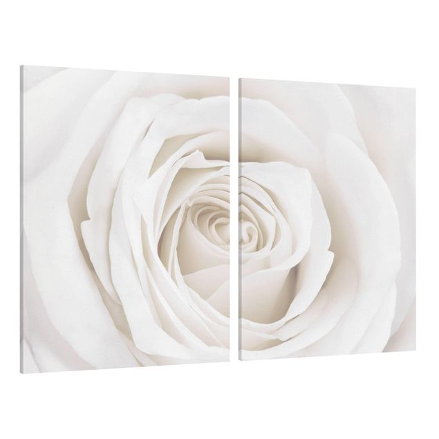 Canvas schilderijen - 2-delig  Pretty White Rose