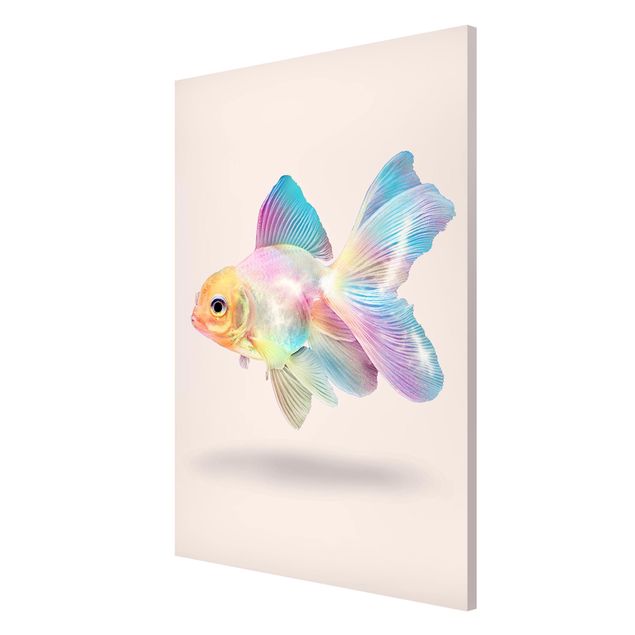 Magneetborden Fish In Pastel