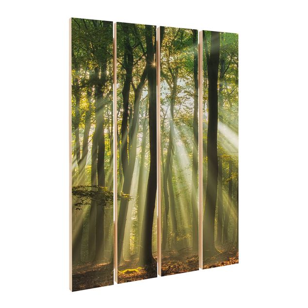 Houten schilderijen op plank Sunny Day In The Forest