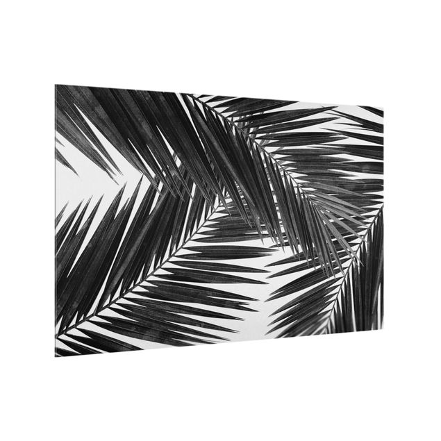 Spatscherm keuken View Over Palm Leaves Black And White