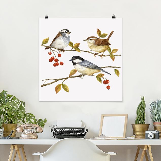 Posters Birds And Berries - Tits